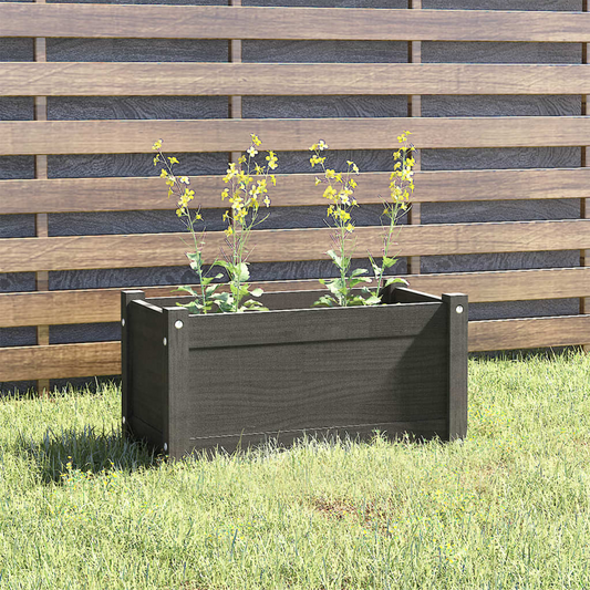 vidaXL Garden Planter Grey 60x31x31 cm Solid Pinewood