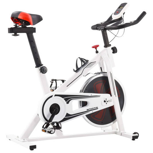 vidaXL Exercise Training Bike