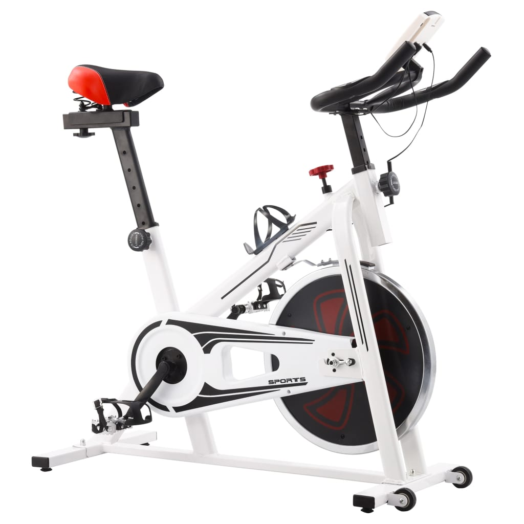 vidaXL Exercise Training Bike