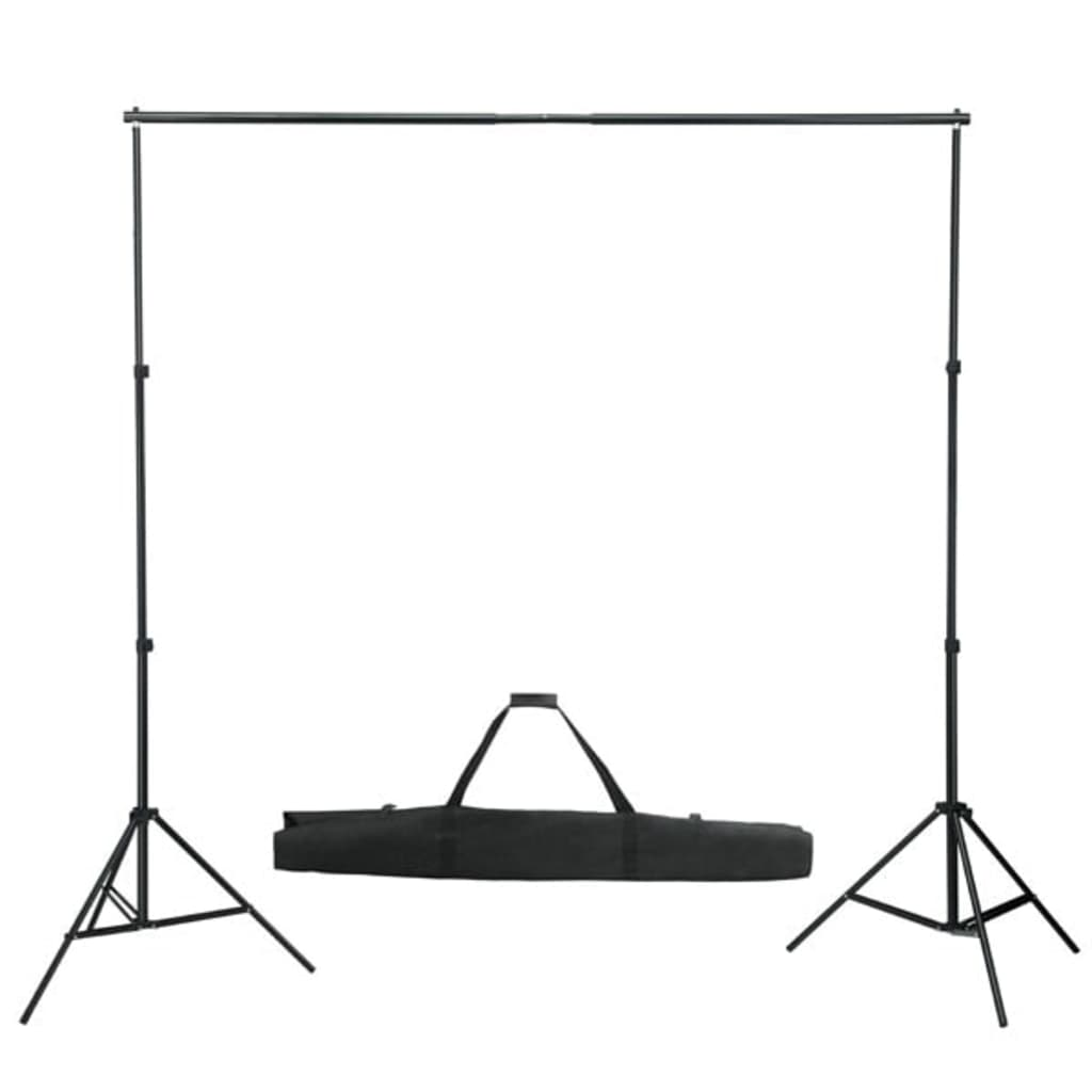 vidaXL Backdrop Support System 600x300 cm White