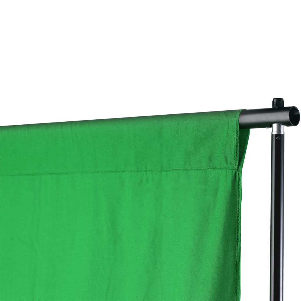 vidaXL Backdrop Support System 600x300 cm Green